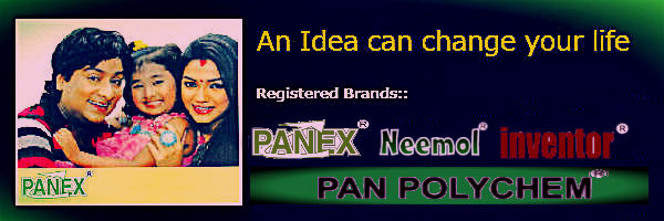 Panex One